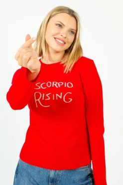 Bella Freud BF Scorpio Rising Jumper in Red