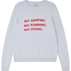 Jumper 1234 JU Don't Do It in Skygrey, Rose